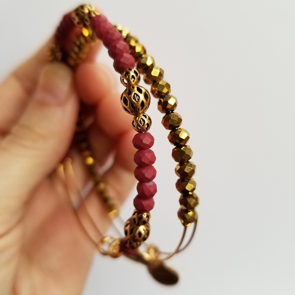Two Alex and Ani bracelets